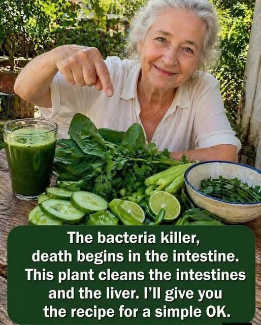 The bacteria killer: death begins in the gut. This plant cleanses the intestines and the liver. I’ll give you the recipe in exchange for a simple OK..