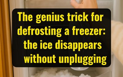The ingenious trick to defrost a freezer: the ice disappears without unplugging the power plug