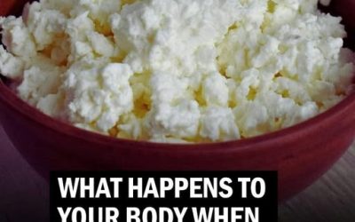 6 Reasons to Add Cottage Cheese to Your Diet