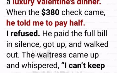 A Valentine’s Dinner That Revealed Everything: When a Test Destroyed Seven Years Together