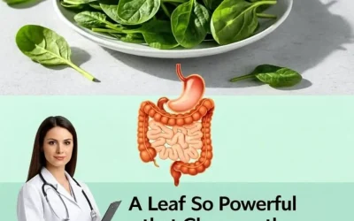 The Power of Spinach: Supporting Digestive and Overall Health