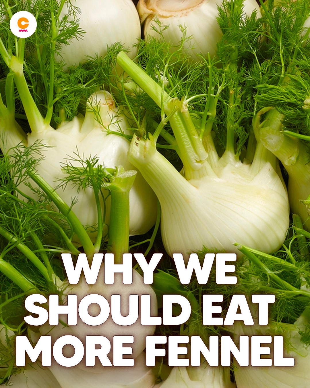 A TRUE ELIXIR OF WELLNESS 💚 With almost no downsides and so many benefits, it’s easy to see why we should eat more fennel. Here’s why 👇