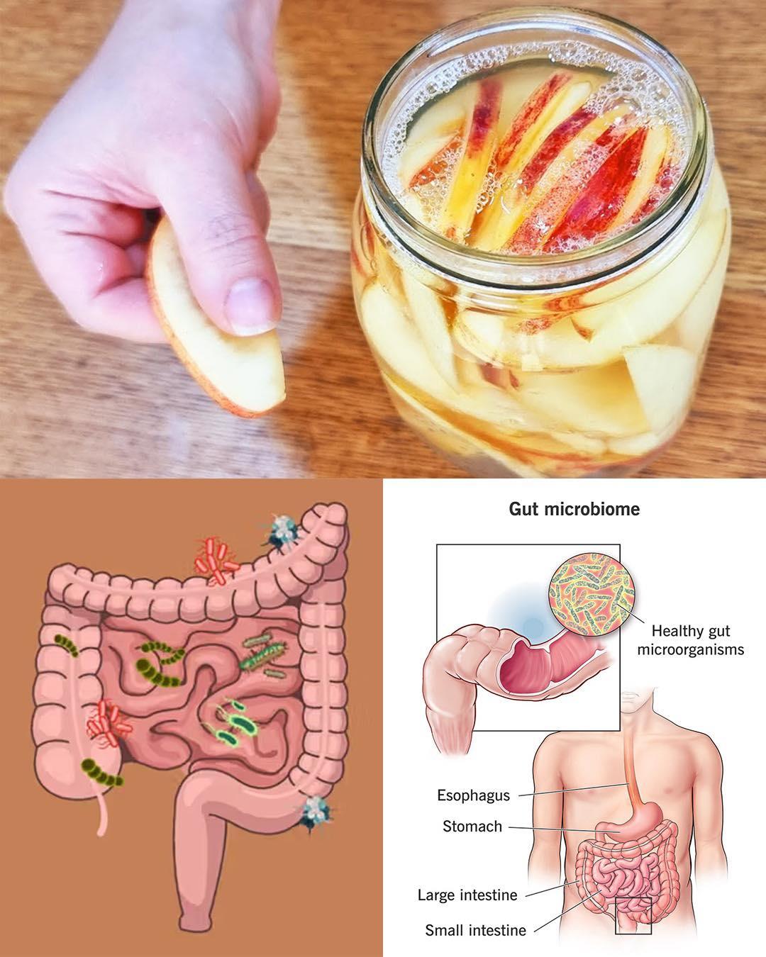 A Simple Fermented Apple Recipe for Gut Health, Immunity, and Natural Energy
