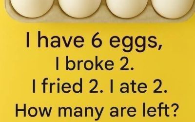 The 6-Egg Riddle — Answer Revealed