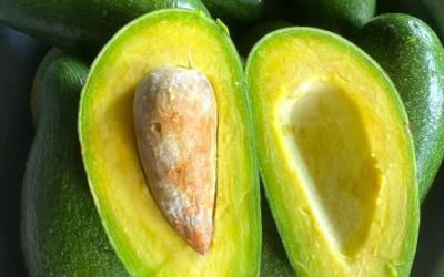 Does Eating Avocado Really Cause Health Problems? Doctors Weigh In