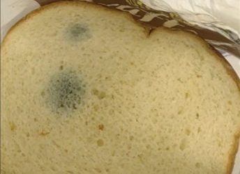 Can You Eat Moldy Bread? What You Need to Know About Food Safety