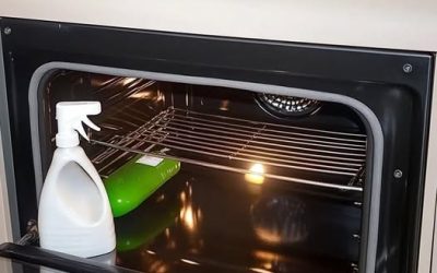 HOMEMADE OVEN CLEANER