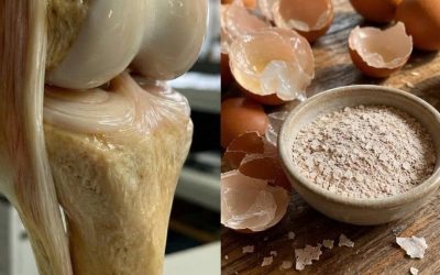 Can Eggshell Powder Support Bone Health? Benefits, Preparation, Safety, and What Science Says