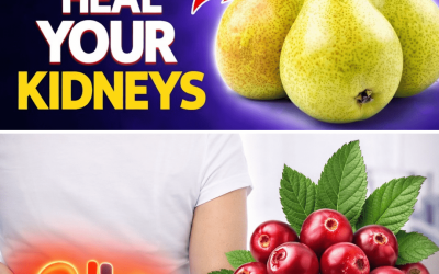 High Creatinine? 3 Fruits You Can Safely Enjoy and 3 You Should Consider Limiting for Kidney Support