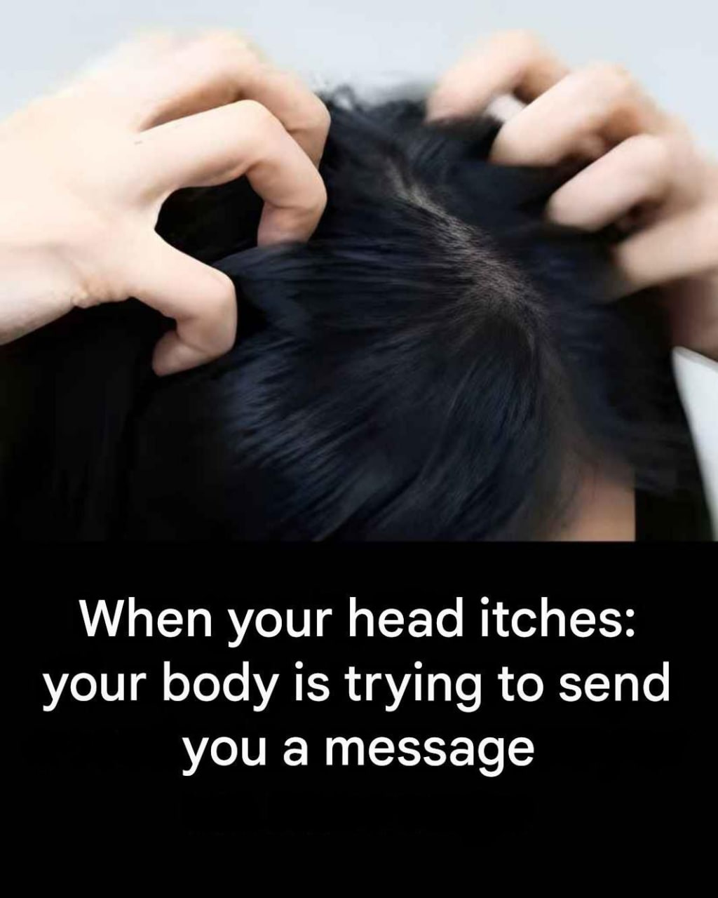 Itchy head? Here are the main causesItchy head? Here are the main causes