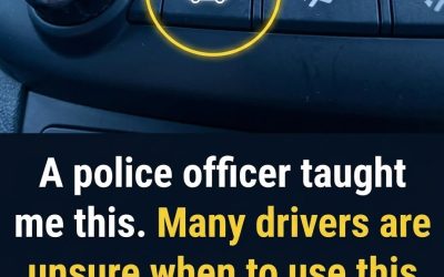 Every driver should know this!